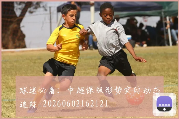 球迷必看：中超保级形势实时动态追踪_20260602162121